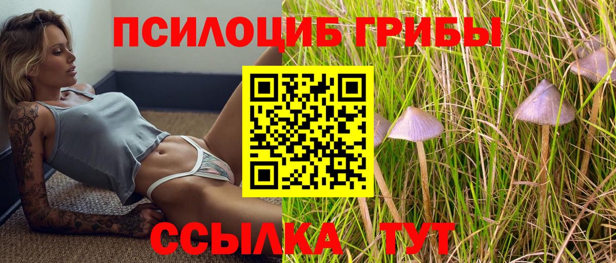 Галлюциногенные грибы мицелий Лабытнанги